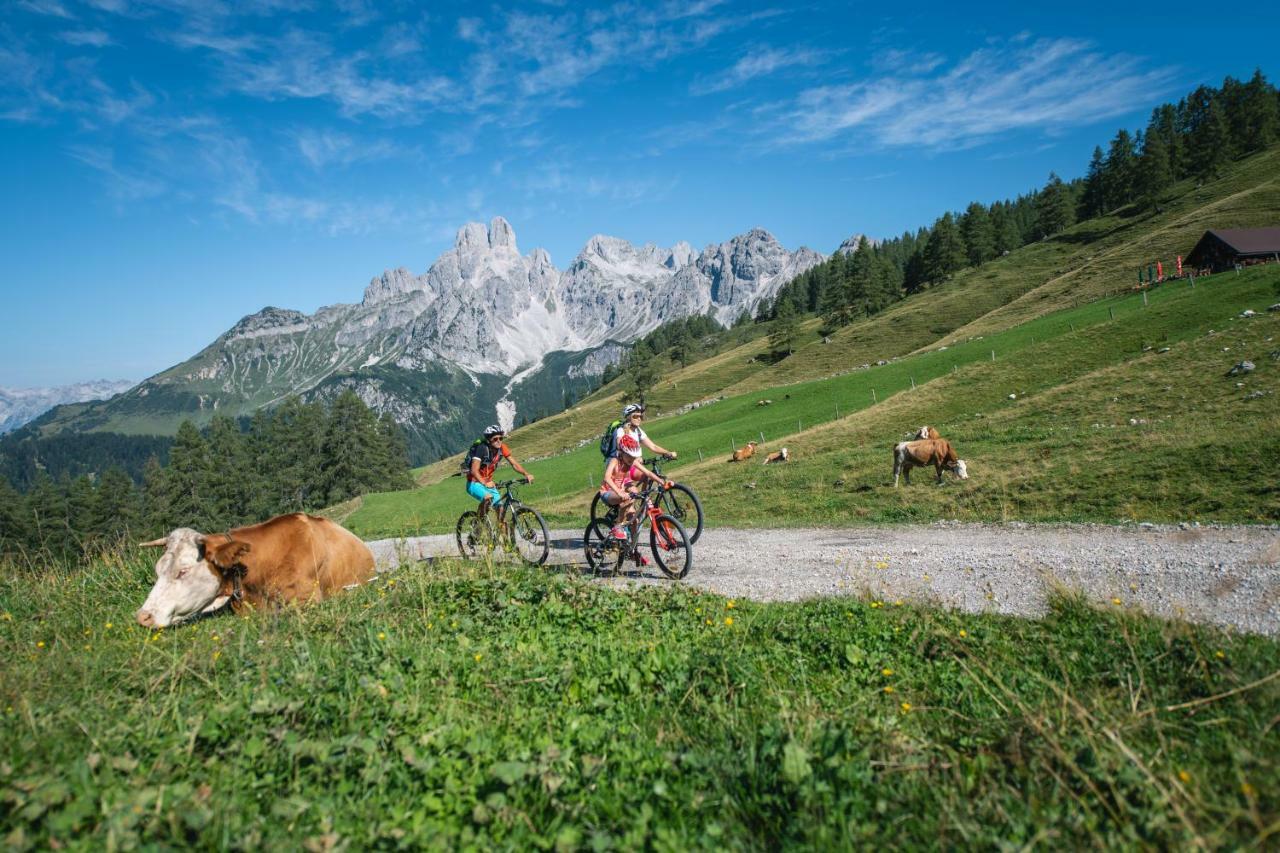 Meizeit Lodge Filzmoos Luaran gambar