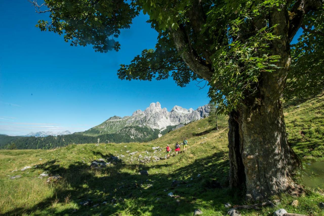 Meizeit Lodge Filzmoos Luaran gambar